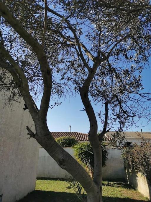 Belle Villa De 90M2 Au Calme Avec Jardin Et Parking A 10 Mn De La Mer En Voiture فوس-سور-مير المظهر الخارجي الصورة